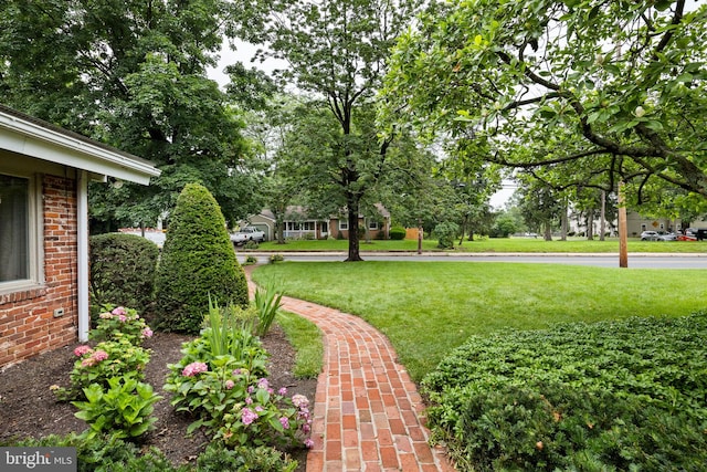 320 S Main St, Quakertown, PA 18951 - view of green lawn