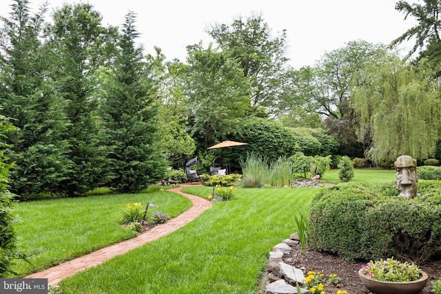 320 S Main St, Quakertown, PA 18951 - view of green lawn