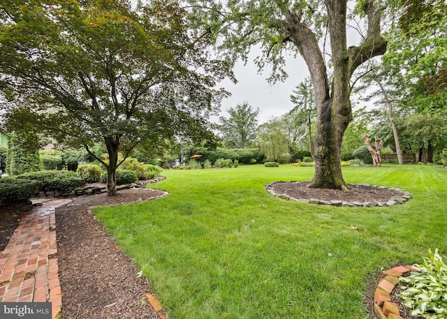 320 S Main St, Quakertown, PA 18951 - view of green lawn