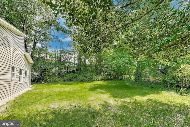 3603 John Ct, Annandale, VA 22003 - view of grassy yard