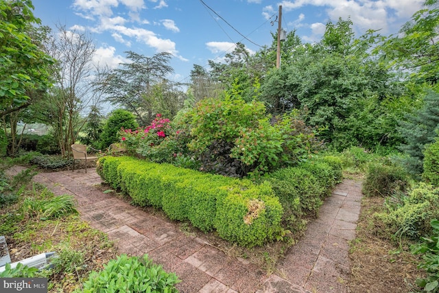 44 Creek Rd, Newville, PA 17241 - view of yard