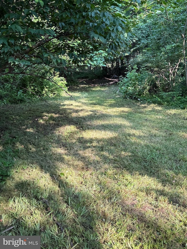 44 Creek Rd, Newville, PA 17241 - view of green lawn
