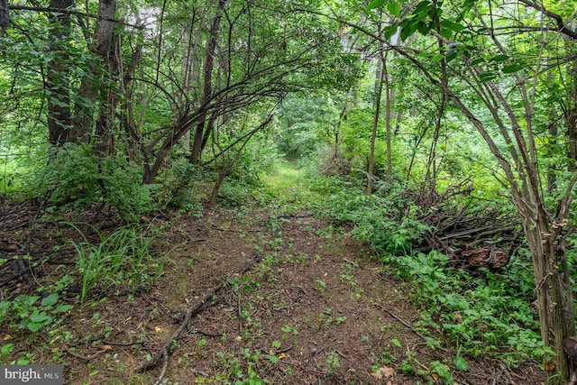 44 Creek Rd, Newville, PA 17241 - view of tree filled area