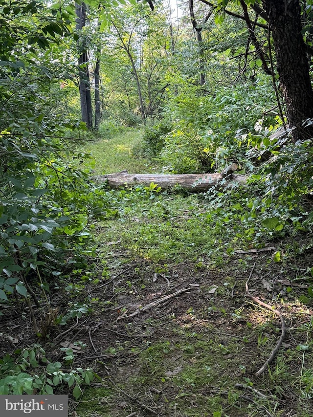 44 Creek Rd, Newville, PA 17241 - view of undeveloped land