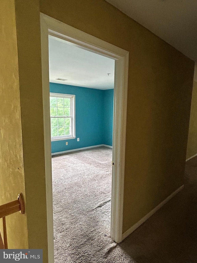 8207 Rison Dr, Brandywine, MD 20613 - hallway with carpet flooring and baseboards