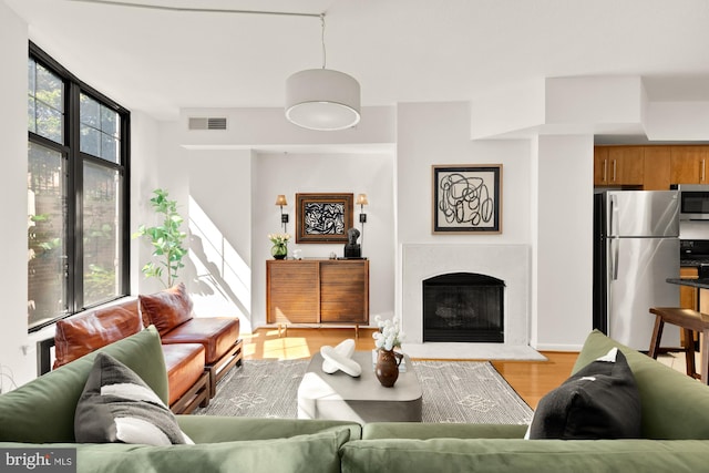 1021 N Garfield St Unit B37, Arlington, VA 22201 - living area featuring light wood-style flooring and a fireplace with raised hearth