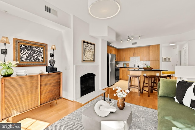 1021 N Garfield St Unit B37, Arlington, VA 22201 - living area featuring light wood-type flooring and a fireplace