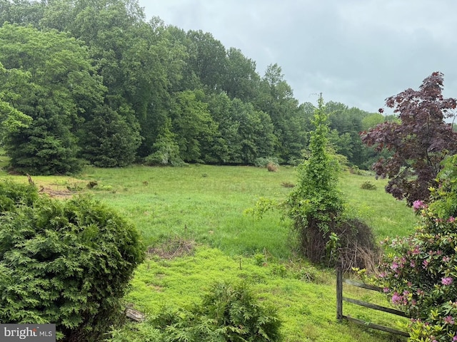 790 Hopewell Rd, Downingtown, PA 19335 - view of yard with a forest view