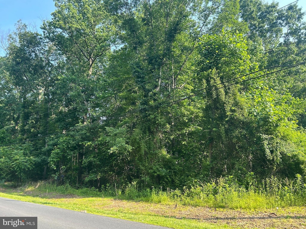 0 Blackbird Station Rd, Townsend, DE 19734