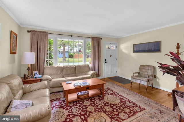 525 Center Dr, Severna Park, MD 21146 - living room with wood finished floors and ornamental molding