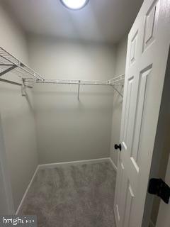 5920 Plata St, Clinton, MD 20735 - walk in closet featuring carpet floors