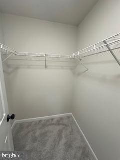 5920 Plata St, Clinton, MD 20735 - walk in closet with carpet