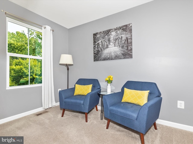 38 Herman Gaver Pl, Hagerstown, MD 21740 - sitting room featuring carpet floors and healthy amount of natural light