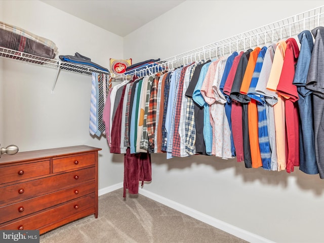 38 Herman Gaver Pl, Hagerstown, MD 21740 - walk in closet featuring carpet flooring