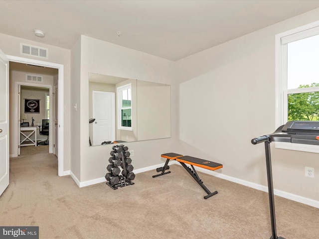 38 Herman Gaver Pl, Hagerstown, MD 21740 - exercise room with carpet floors and healthy amount of natural light