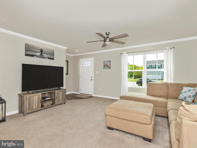 38 Herman Gaver Pl, Hagerstown, MD 21740 - carpeted living room featuring ornamental molding, ceiling fan, and healthy amount of natural light