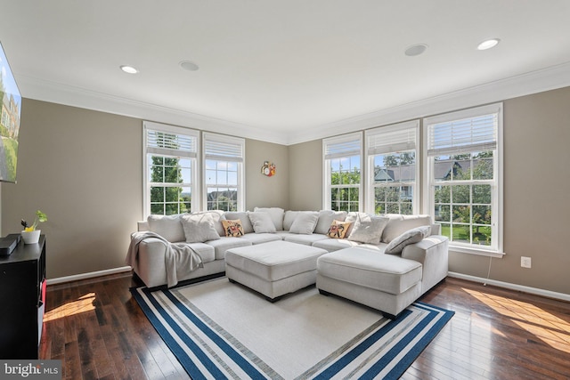 21550 Wild Timber Ct, Broadlands, VA 20148 - living room with crown molding, plenty of natural light, dark wood-style floors, baseboards, and recessed lighting