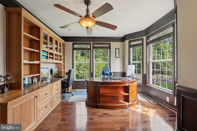 21550 Wild Timber Ct, Broadlands, VA 20148 - office area featuring dark wood-style floors, ornamental molding, ceiling fan, built in desk, and baseboards