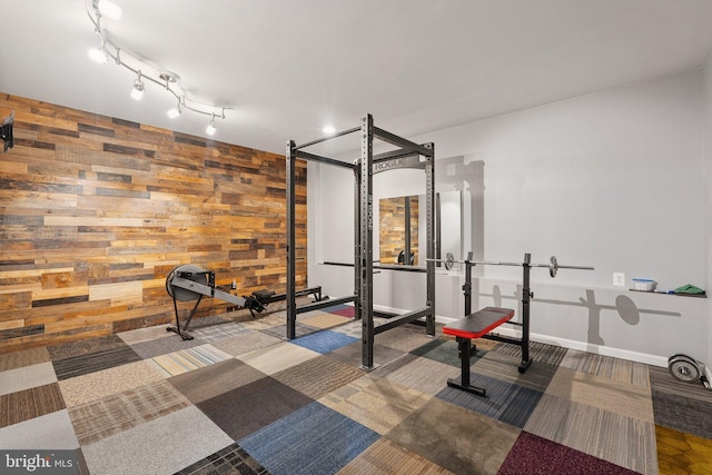 21550 Wild Timber Ct, Broadlands, VA 20148 - exercise room featuring wood walls, baseboards, and carpet floors