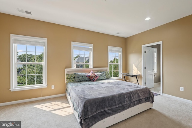 21550 Wild Timber Ct, Broadlands, VA 20148 - carpeted bedroom with multiple windows and baseboards
