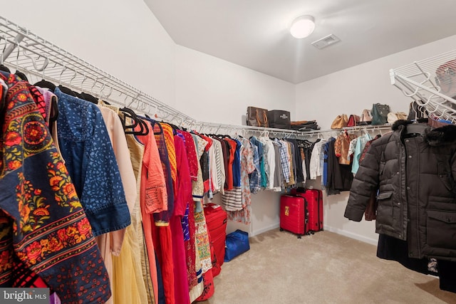 21550 Wild Timber Ct, Broadlands, VA 20148 - spacious closet featuring carpet