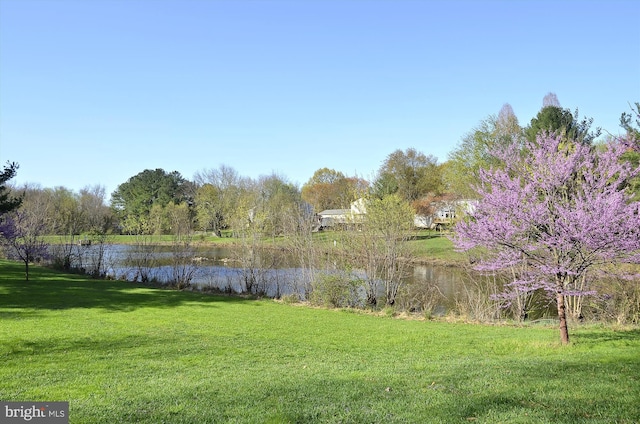 14616 Orangewood St, Silver Spring, MD 20905 - view of grassy yard with a water view