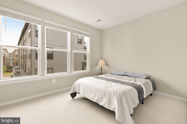 2521 River Terrace Rd, Hyattsville, MD 20782 - bedroom with carpet flooring, baseboards, and multiple windows