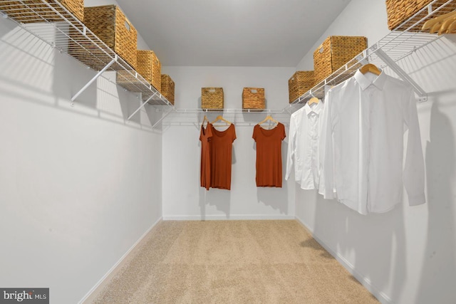 453 Ensemble Way, Frederick, MD 21701 - spacious closet with carpet floors