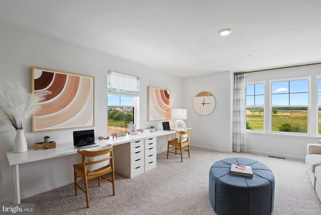 453 Ensemble Way, Frederick, MD 21701 - home office with carpet floors, built in study area, and baseboards