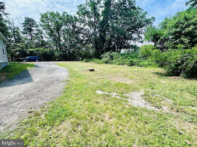 70 Steinfeld Ave, Pittsgrove, NJ 08318 - view of yard with dirt driveway