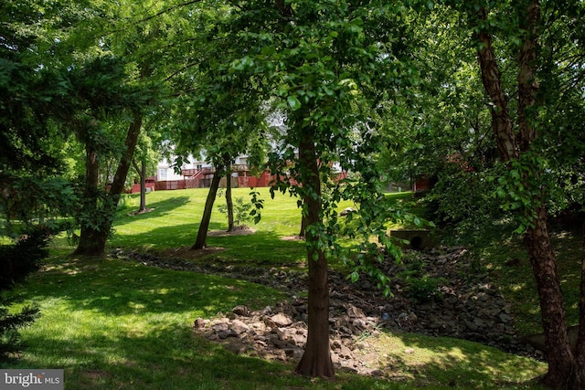 6164 Kendra Way, Centreville, VA 20121 - view of green lawn