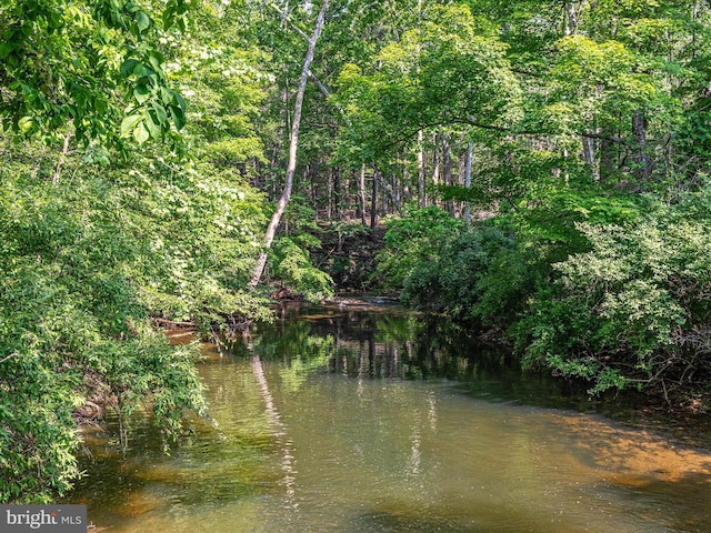 417 Mallard Dr, Basye, VA 22810 - water view with a forest