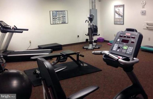 3800 Powell Ln Unit 519, Falls Church, VA 22041 - workout area with carpet floors
