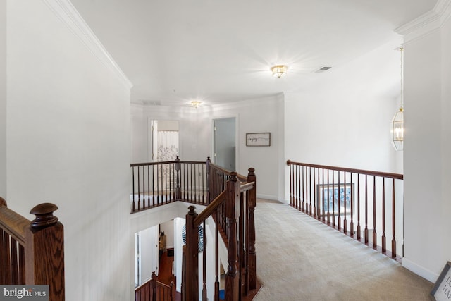 14207 Pollin St, Accokeek, MD 20607 - hall featuring an upstairs landing, carpet floors, and ornamental molding