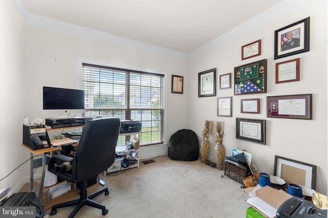14207 Pollin St, Accokeek, MD 20607 - office featuring carpet and ornamental molding