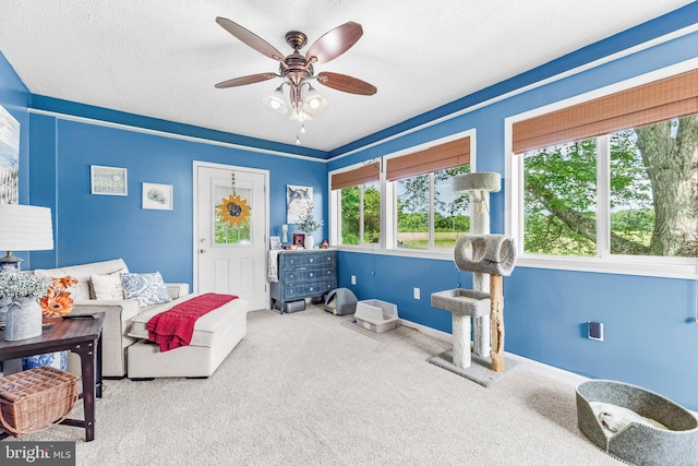 9665 Brunswick Rd, Faulkner, MD 20632