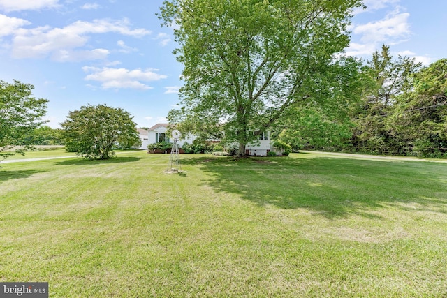 9665 Brunswick Rd, Faulkner, MD 20632