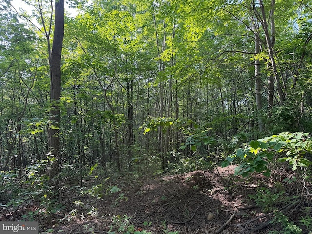 1337 Shanghai Rd, Berkeley Springs, WV 25411