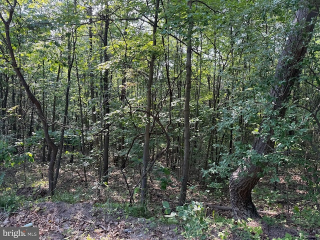 1337 Shanghai Rd, Berkeley Springs, WV 25411