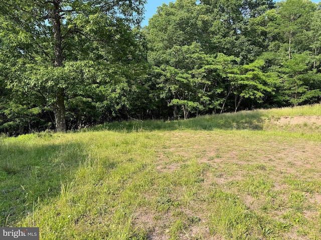1337 Shanghai Rd, Berkeley Springs, WV 25411