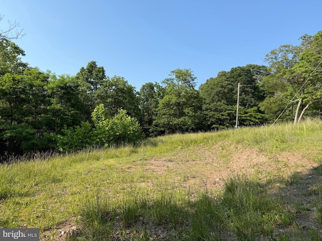1337 Shanghai Rd, Berkeley Springs, WV 25411