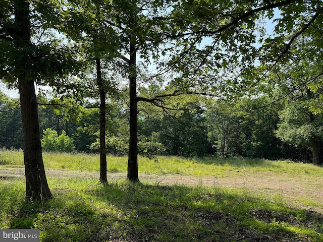 1337 Shanghai Rd, Berkeley Springs, WV 25411