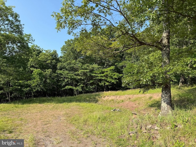 1337 Shanghai Rd, Berkeley Springs, WV 25411