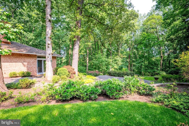 6501 Menlo Rd, Mclean, VA 22101 - view of yard