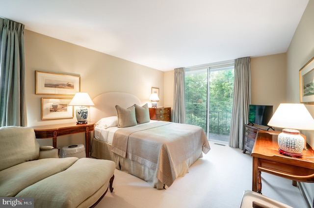6501 Menlo Rd, Mclean, VA 22101 - bedroom with access to outside and carpet floors