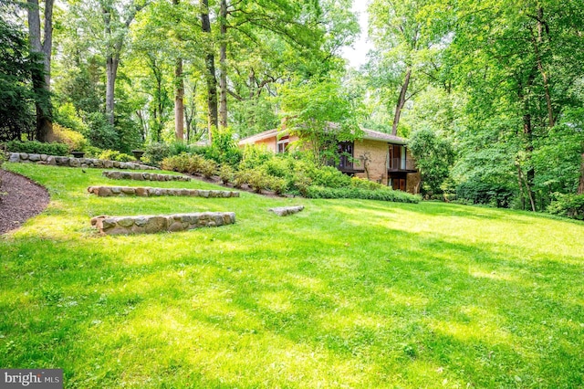 6501 Menlo Rd, Mclean, VA 22101 - view of green lawn featuring a forest view