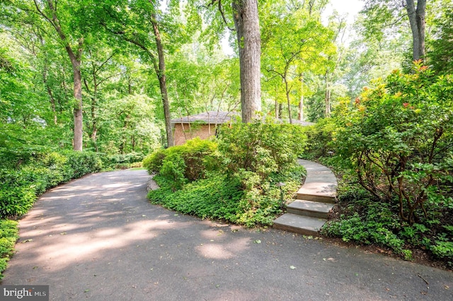 6501 Menlo Rd, Mclean, VA 22101 - view of property's community featuring a view of trees