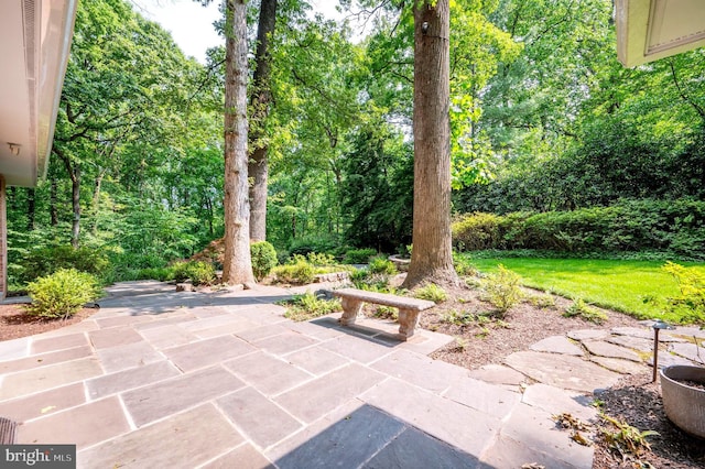 6501 Menlo Rd, Mclean, VA 22101 - view of patio / terrace