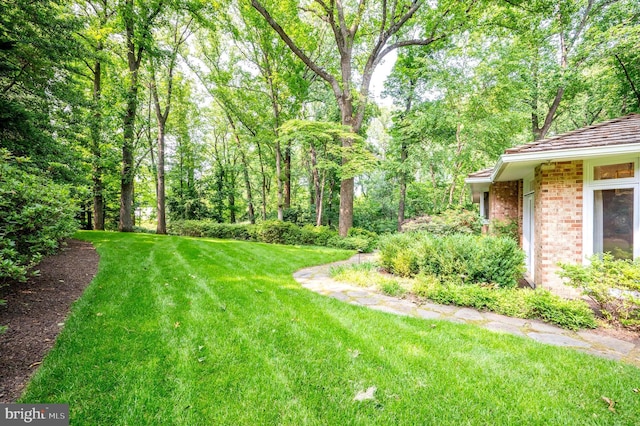 6501 Menlo Rd, Mclean, VA 22101 - view of green lawn