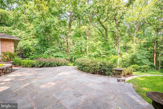 6501 Menlo Rd, Mclean, VA 22101 - view of patio / terrace featuring a view of trees